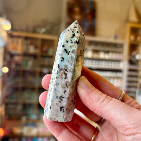 Aura Kiwi Jasper Point