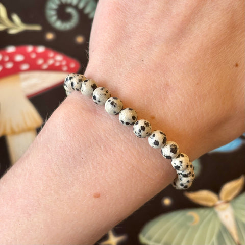 Dalmatian Jasper Bracelet