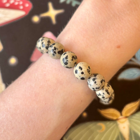 Dalmatian Jasper Bracelet
